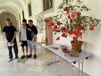 abschlusstag2024-8